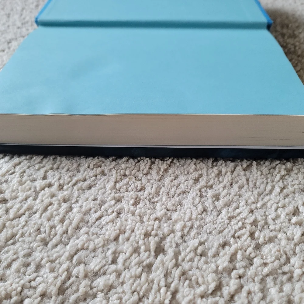Book- Daughther of the Deep - Picture 5 of 7
